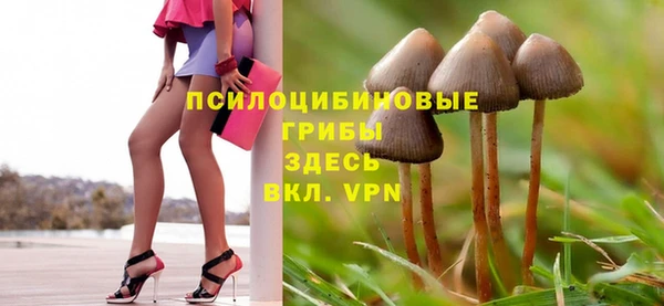 гашик Рославль
