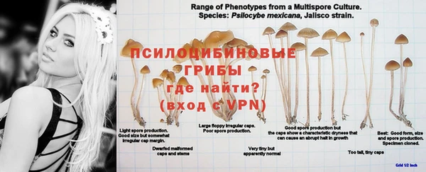 ГАЛЛЮЦИНОГЕННЫЕ ГРИБЫ Россошь